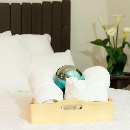 Suite 5A, Altavista, Garden House, Welcome To San Angel Мексико Сити Екстериор снимка