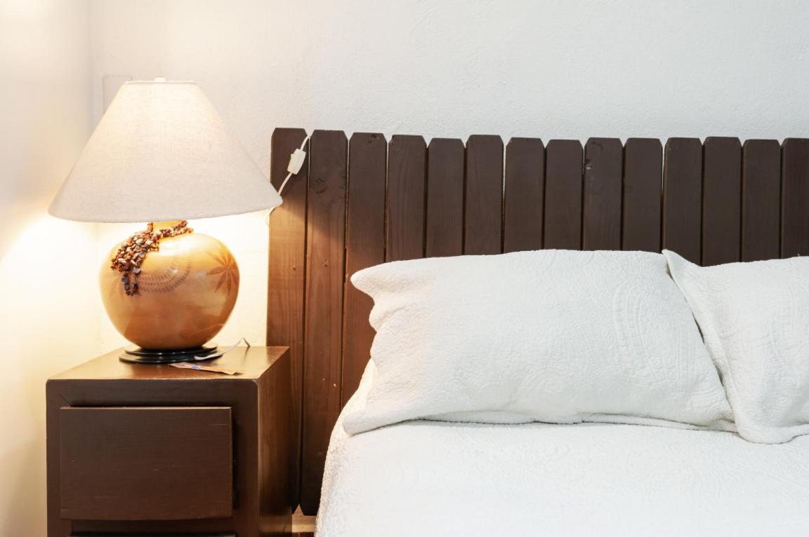 Suite 5A, Altavista, Garden House, Welcome To San Angel Мексико Сити Екстериор снимка
