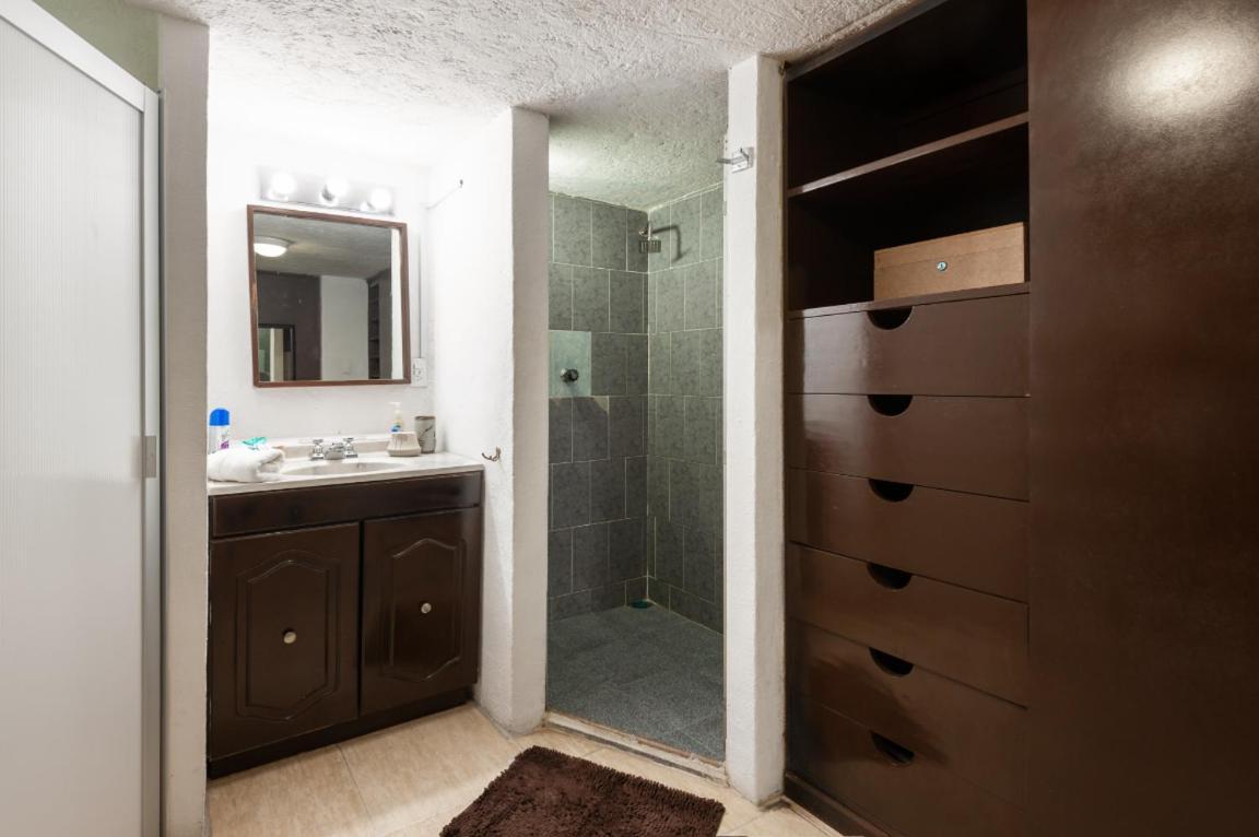 Suite 5A, Altavista, Garden House, Welcome To San Angel Мексико Сити Екстериор снимка