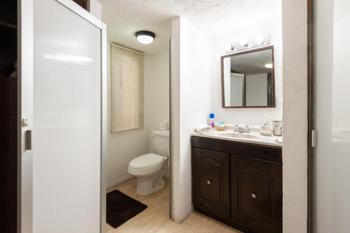 Suite 5A, Altavista, Garden House, Welcome To San Angel Мексико Сити Екстериор снимка