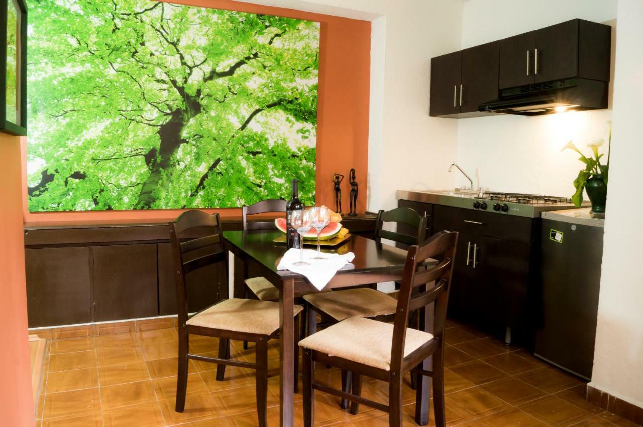 Suite 5A, Altavista, Garden House, Welcome To San Angel Мексико Сити Екстериор снимка