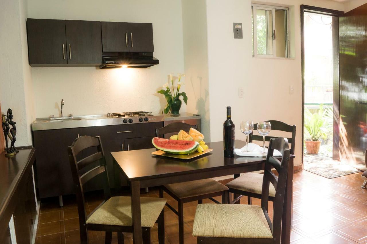 Suite 5A, Altavista, Garden House, Welcome To San Angel Мексико Сити Екстериор снимка